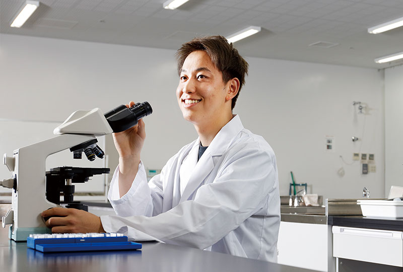 薬学部