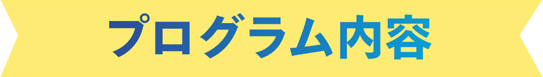 プログラム内容