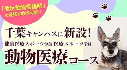 千葉キャンパスで愛玩動物看護師の資格が取得可能！
動物医療コース新設！