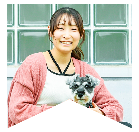 医療スポーツ学科 動物医療コース