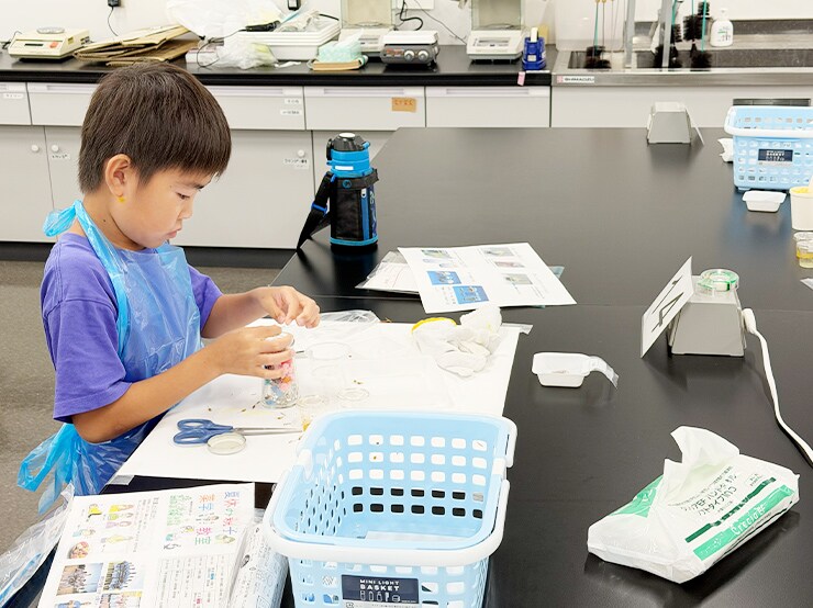生薬を使用したハーバリウムの作成