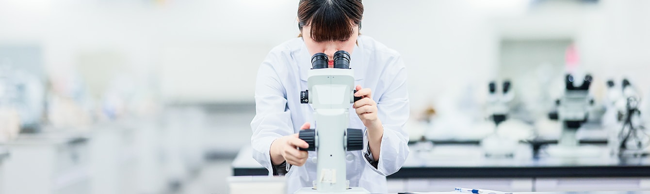 薬学部