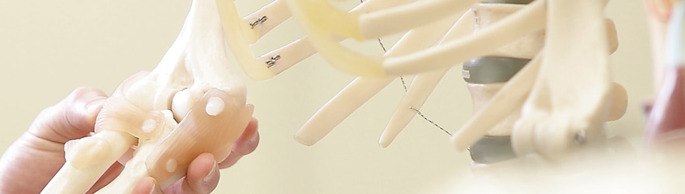 健康科学研究科 柔道整復学専攻(修士課程)・健康科学専攻 柔道整復学分野(博士課程)