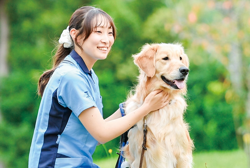医療スポーツ学科 動物医療コース