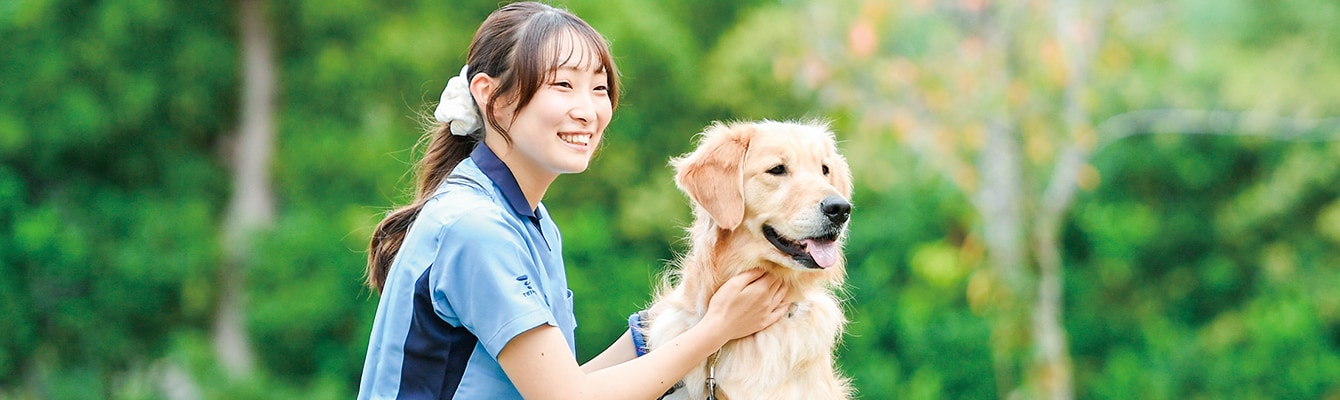 動物医療コース