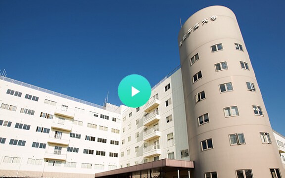 自宅で体験 帝京平成大学のwebオープンキャンパス